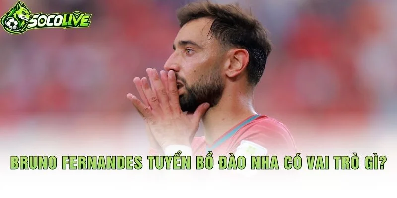 Bruno Fernandes Tuyển Bồ Đào Nha Có Vai Trò Gì?