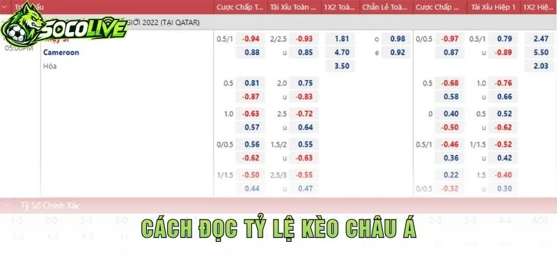 Cách Đọc Tỷ Lệ Kèo Châu Á