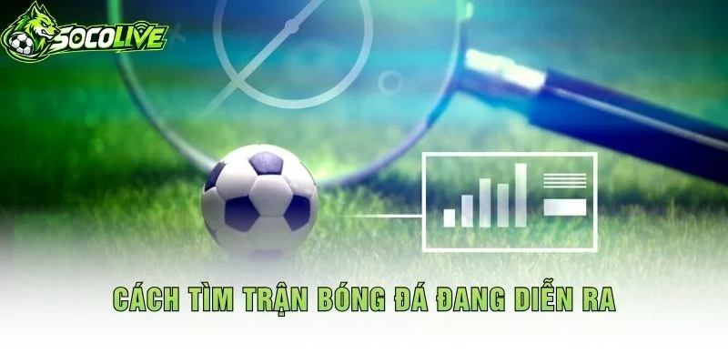 Cách Tìm Trận Bóng Đá Đang Diễn Ra