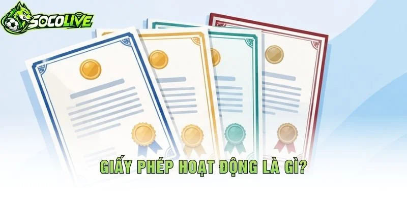 Giấy Phép Hoạt Động Là Gì?
