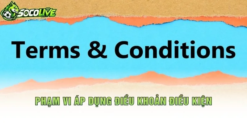 Phạm Vi Áp Dụng Điều Khoản Điều Kiện