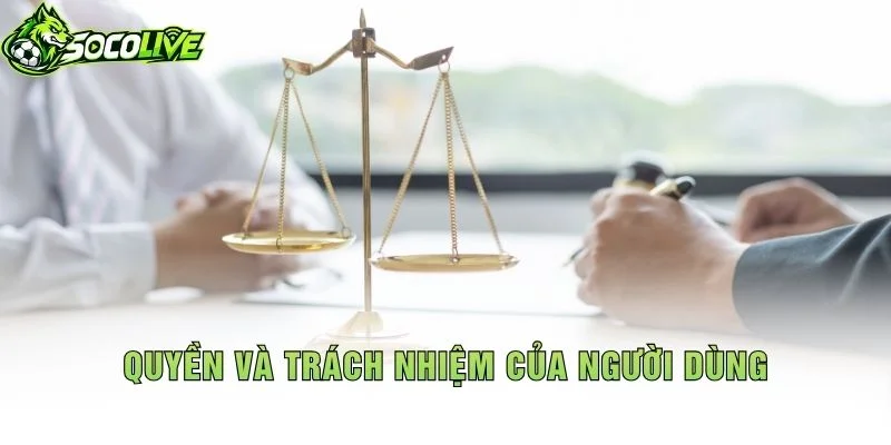 Quyền Và Trách Nhiệm Của Người Dùng
