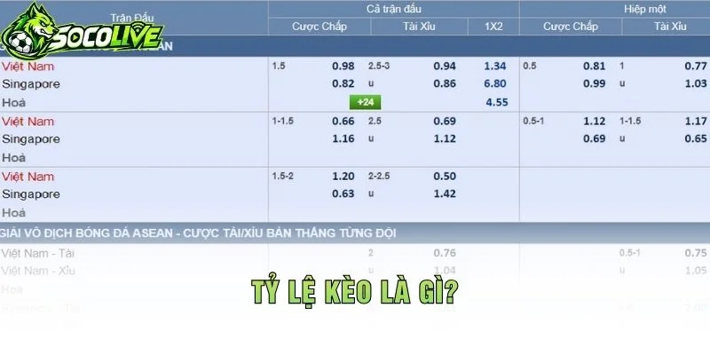 Tỷ Lệ Kèo Là Gì?