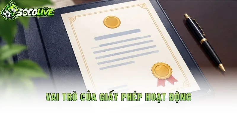 Vai Trò Của Giấy Phép Hoạt Động